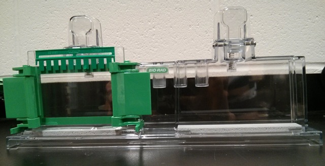 Electrophoresis System