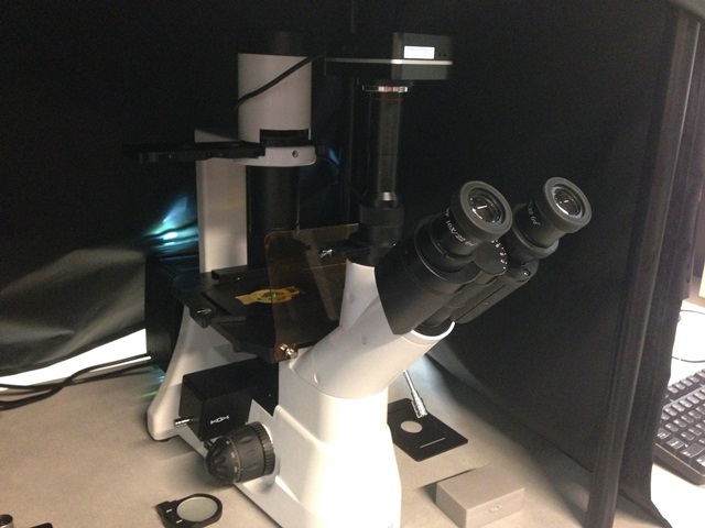 Optical Microscope